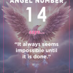 Angel number 14 and its meaning