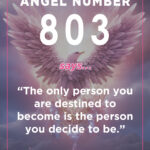 angel number 803