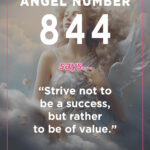 844 angel number meanings