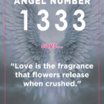angel 1333 meaning and symbolism