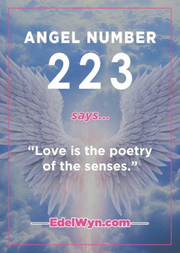 223 Angel Number Meaning