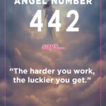 442 angel meaning