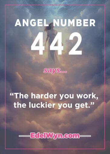442 angel meaning