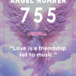 755 angel meaning for love