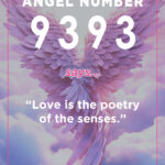 9393 angel number meaning