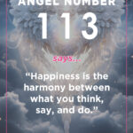 113 angel number meaning