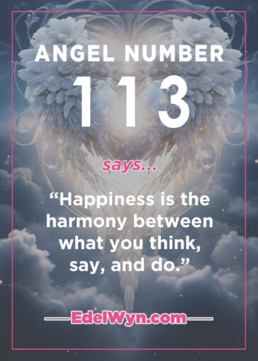 113 angel number meaning