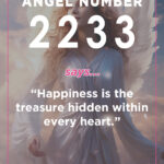 2233 angel number meaning