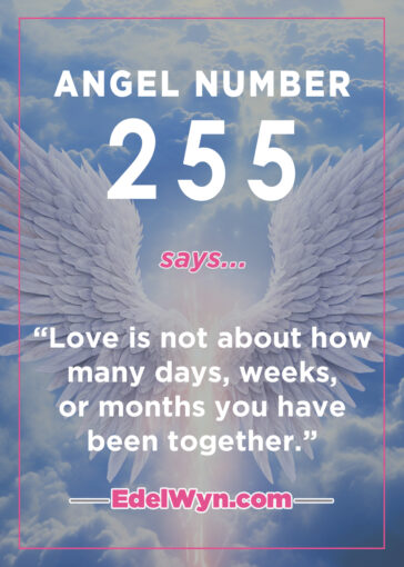 255 angel number meaning
