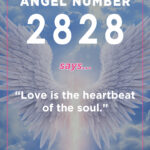 2828 angel meaning