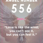 556 angel number meaning