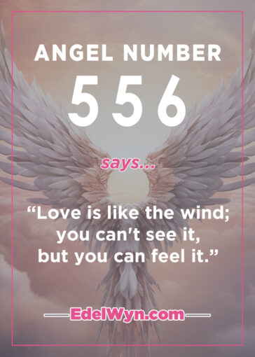 556 angel number meaning