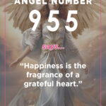955 angel number meaning