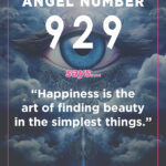 929 angel number meaning
