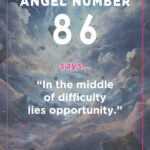 86 angel number meaning