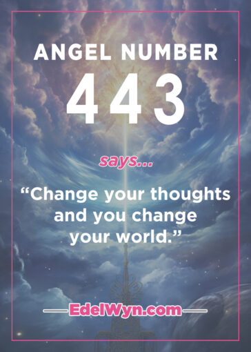 443 angel number meaning