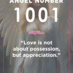 1001 angel number meaning