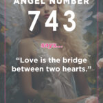 743 angel number meaning