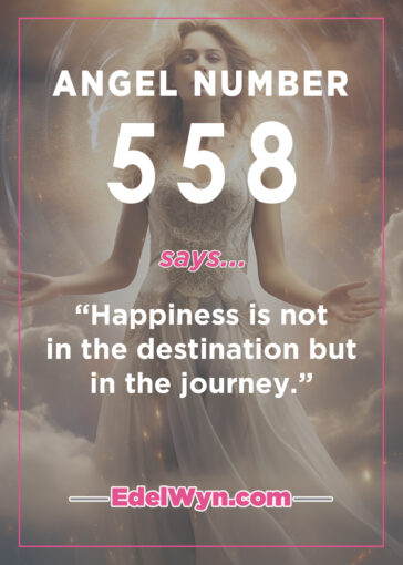 558 angel number meaning