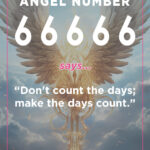66666 angel number meaning