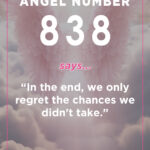 838 angel number meaning