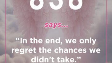 838 angel number meaning
