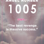 1005 angel number meaning