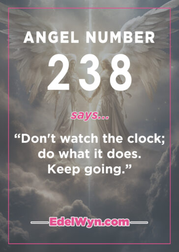 238 angel number meaning
