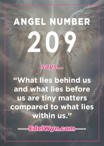 209 angel number meaning