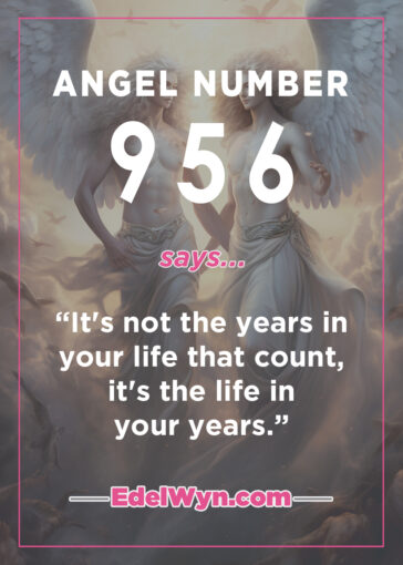 956 angel number meaning